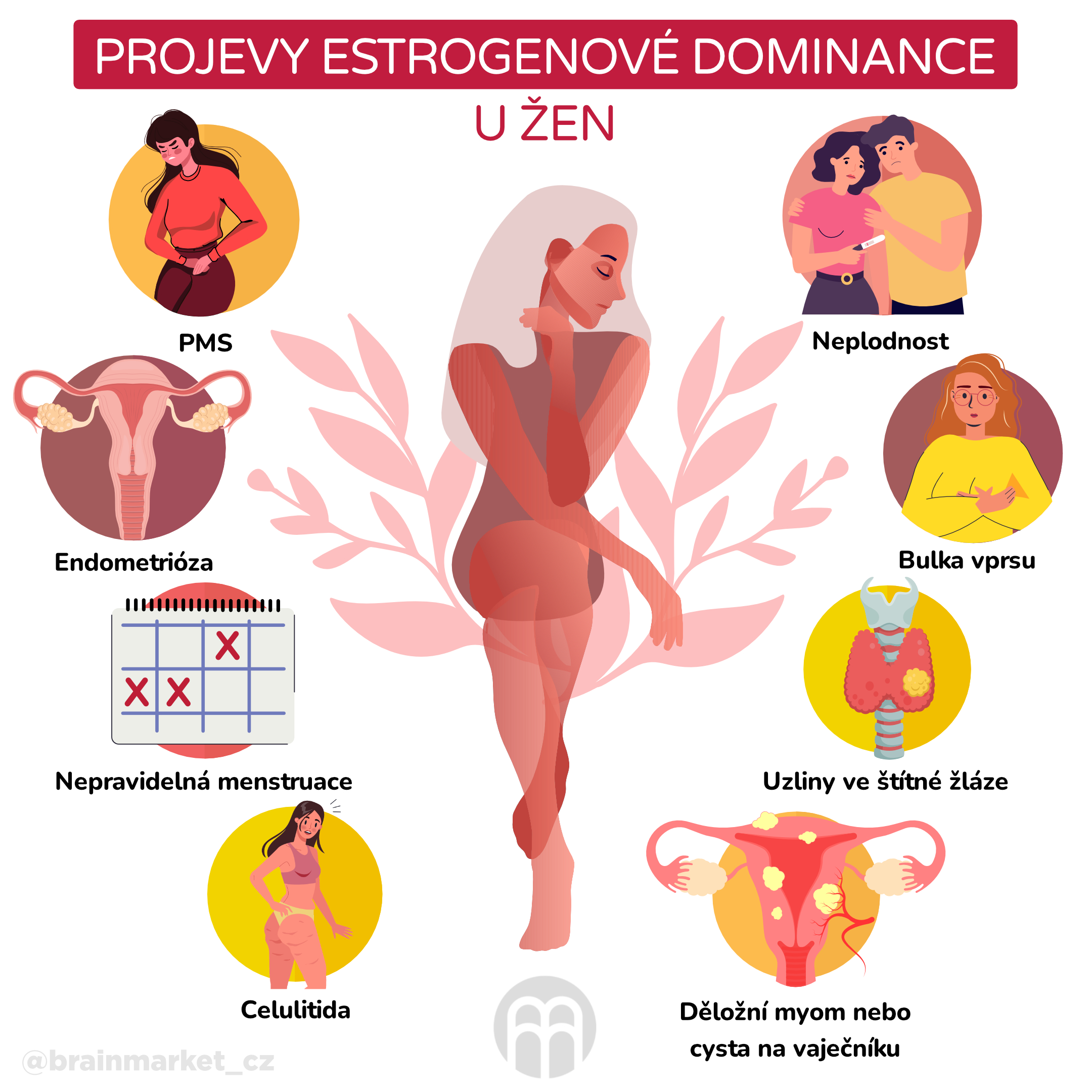 projevy estrogenove dominance_infografika_cz